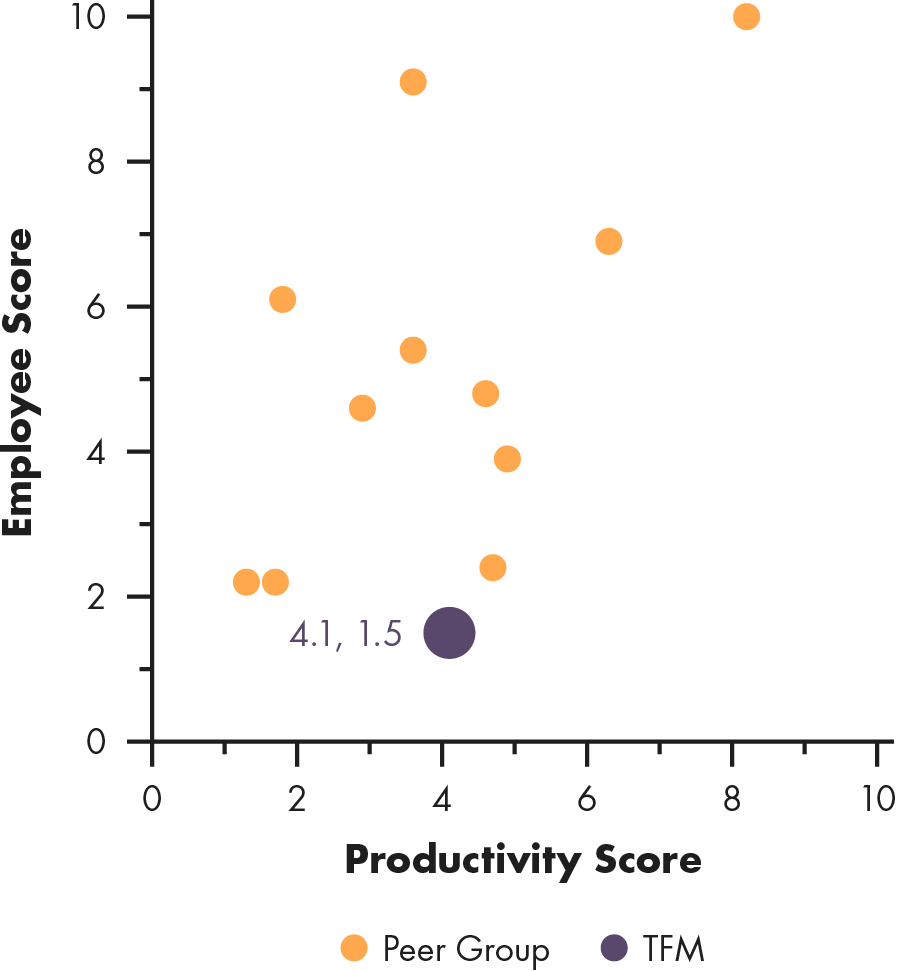 Scattergraph of The Fresh Market, Productivity Score versus Employee Score.