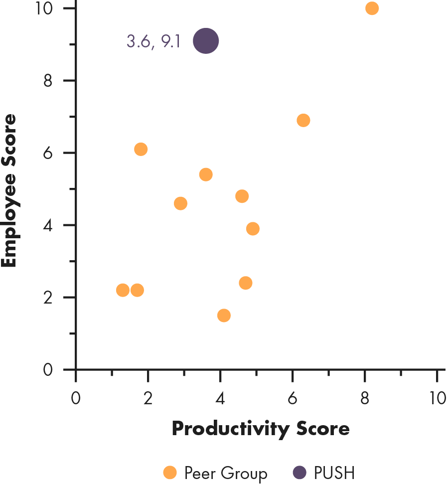 Scattergraph of Publix, Productivity Score versus Employee Score.